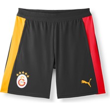 Gs Store Galatasaray Puma Antrenman Şort 78681203