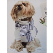 Max Design Old Money Köpek Tişörtü