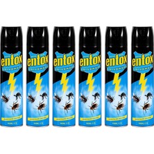 Entox Sinek Ilacı 300 ml 6 Lı