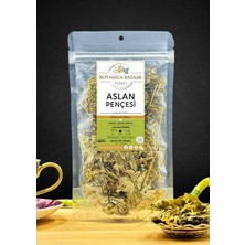 Botanica Bazaar Doğal Testere Dişli Aslan Pençesi Ayıklanmış Yeni Mahsul, Alpine Bayan Mantosu 20GR