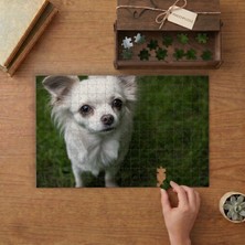 Sevimli Beyaz Köpek Tasarımı 240 Parça Ahşap Puzzle Ahşap Kutuda  MP04907