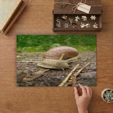 Salyangoz - Doğa - Sürüngenler Tasarımı 240 Parça Ahşap Puzzle Ahşap Kutuda  MP03327
