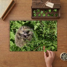 Otlarda Yatan Sevimli Kirpi Tasarımı 240 Parça Ahşap Puzzle Ahşap Kutuda  MP08228