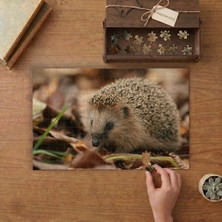 Seviml Kirpi Tasarımı 240 Parça Ahşap Puzzle Ahşap Kutuda  MP08303