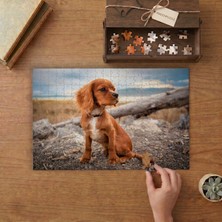 Sevimli Bir Cavalier King Charles Spaniel Yavrusu Tasarımı 240 Parça Ahşap Puzzle Ahşap Kutuda  MP07299