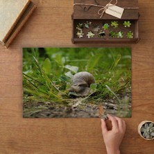 Otların Arasındaki Salyangoz Tasarımı 240 Parça Ahşap Puzzle Ahşap Kutuda  MP03464