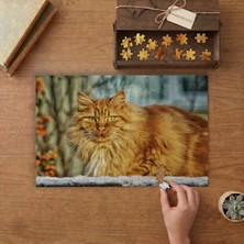 Yeşil Gözlü Uzun Tüylü Kedi Tasarımı 240 Parça Ahşap Puzzle Ahşap Kutuda  MP01946