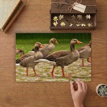 Kaz Sürüsü - Yürüyen Kazlar Tasarımı 240 Parça Ahşap Puzzle Ahşap Kutuda  MP05426