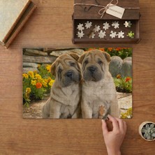 Shar Pei Yavruları  Tasarımı 240 Parça Ahşap Puzzle Ahşap Kutuda  MP01113