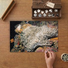 Anemon Balığı- Okyanus Canlıları Tasarımı 240 Parça Ahşap Puzzle Ahşap Kutuda  MP00246