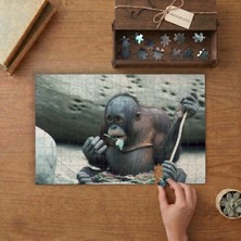 Sevimli Şempanze  Tasarımı 240 Parça Ahşap Puzzle Ahşap Kutuda  MP05351