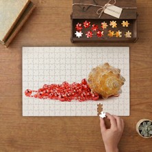 Deniz Kabuğu Görseli Tasarımı 240 Parça Ahşap Puzzle Ahşap Kutuda  MP00110