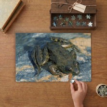 Su Kurbağası Tasarımı 240 Parça Ahşap Puzzle Ahşap Kutuda  MP05353