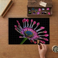 Afrika Papatyası Çiçek Doğa Bitki  Tasarımı 240 Parça Ahşap Puzzle Ahşap Kutuda  MP10112