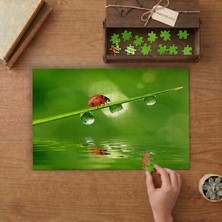 Yeşil Bitkinin Üstünde Yürüyen Uğurböceği Tasarımı 240 Parça Ahşap Puzzle Ahşap Kutuda  MP00584