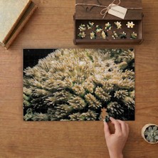 Okyanus Canlıları- Sualtı Bitkileri Tasarımı 240 Parça Ahşap Puzzle Ahşap Kutuda  MP00244