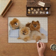Sevimli Pomeranian Köpekler Tasarımı 240 Parça Ahşap Puzzle Ahşap Kutuda  MP09471