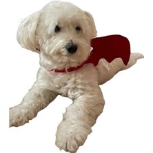 Şeytan Kanadı Köpek Kostümü S Beden (4-6 Kg)