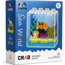 Lumiq Fanus Eğitici LEGO Seti 225 Pcs