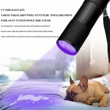 TUX Ultraviole Para Kontrol Işığı WT-302