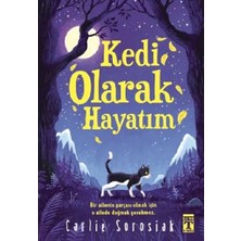 Chic Haven Kedi Olarak Hayatım