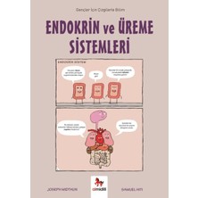 TUX Endokrin ve Üreme Sistemleri - Gençler Için Çizgilerle Bilim