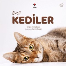 TUX Evcil Kediler