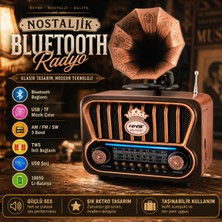 FaroxTech Nostaljik Gramofon Tasarımlı Am/fm/sw Radyo – USB ve Tf Kart Destekli Retro Müzik Çalar