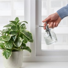 Ikea Bitki Sulama Şişesi 25 cl 16 cm Sulama Sprey Şişesi Saksı Çiçek Bitki Bahçe Cam Sulama Kabı Şiş