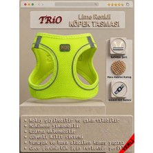 Trio Air-Mesh Küçük ve Orta Irk Kedi Köpek Göğüs Tasması Yumuşak, Nefes Alabilir, Extra Dayanıklı