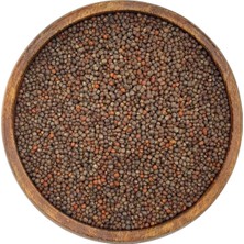 Pauls Micro Farm Mor Lahana Mikro Filiz Tohumu 100 gr | Microgreen - Filizlendirme Tohumu