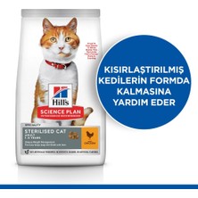 Hill's Scıence Plan Kısırlaştırılmış Yetişkin Tavuklu Kedi Maması 1,5 kg