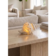 The Mia Marin LED Aydınlatmalı Deniz Salyangozu 12 cm