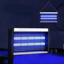 Byanes Sinek Böcek Öldürücü Elektrikli Mavi Işık 4W 2000V Iki Ledli Zincirli Askılı