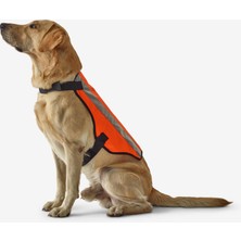 Solognac Köpek Yeleği - Avcılık ve Doğa Gözlemi - Turuncu - 100