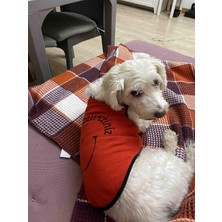 OEM Yeni Sezon Köpek ve Kedi Kıyafeti - Kırmızı Beni Siz Delirttiniz Xl Beden