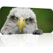 OEM Kartal Oyuncu Gaming Mouse Pad Kauçuk Kaymaz Taban Mousepad (V1, 70X30 Xl)