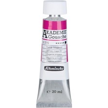 OEM Akademie Guaj Boya 20 ml 315 Primary Magenta