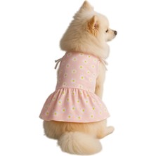 OEM Kedi ve Köpek Kıyafeti &amp; Elbisesi Pembe Papatyalı Elbise S