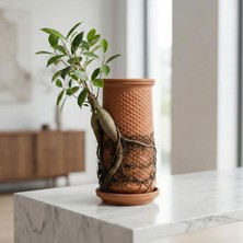 OEM Canlı Saksı | Hidroponik El Yapımı Topraksız Saksı
