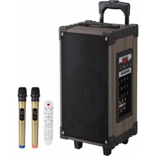 OEM LT-912 Süper Bass Şarjlı Çift Mikrofonlu Hoparlör Karaoke Sistemi 100W Taşınabilir Parti Box