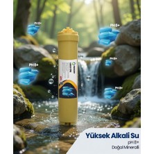 OEM Alkali Filtre Yüksek Ph