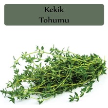 OEM Kekik Tohumu 1 Paket (500 + Adet)