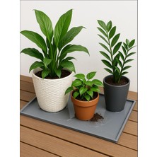 OEM Silikon Saksı Altlığı ve Viyol Tepsisi (60X40 Cm) - Su Geçirmez Bitki Koruyucu Mat, Fide Yetiştirme ve Çiçek Altlığı, Yükseltilmiş Kenarlı Saksı Tablası, Gri Renk