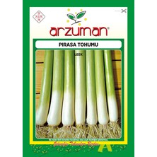 OEM Inegöl Pırasa Tohumu, 10GR