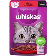 Northcity Pouch Sos Içinde Sığır Etli Yetişkin Kedi Konservesi 12 Adet 85 gr