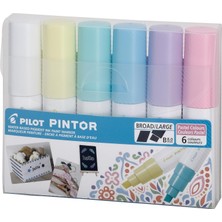 OEM Pıntor-B-6 Color Set (Pastel