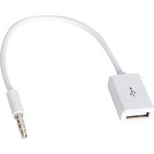 Powermaster PM-33294 USB Dişi To Aux Stereo 3 Boğumlu Kablo