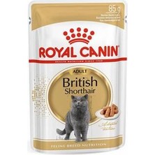 Northcity British Shorthair Yetişkin Kedi Konservesi 85 gr - Kürk Parlaklığı ve Sağlık Için