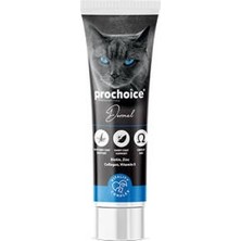 Northcity Biotinli Kedi Pastesi 100 ml - Tüy Sağlığı ve Deri Doygunluğu Için Mükemmel Destek